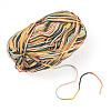Light Gradient Segment Dyed Polyester Yarn DIY-TADJ0002-005G-3