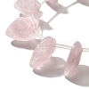 Natural Rose Quartz Beads Strands G-P561-A01-01-3