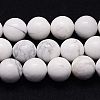 Natural Howlite Beads Strands X-TURQ-G090-6mm-1