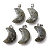Natural Labradorite Pendants G-F820-02C-01-1