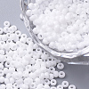 11/0 FGB Grade A Baking Paint Glass Seed Beads X-SEED-N001-A-743-1
