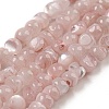 Natural White Shell Dyed Beads Strands BSHE-Z005-03D-1