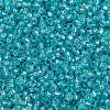 MIYUKI Round Rocailles Beads X-SEED-G009-RR0647-3