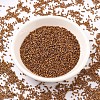 MIYUKI Delica Beads X-SEED-J020-DB0505-2