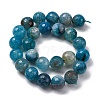 Natural Dragon Veins Agate(Dyed & Heated) Beads Strands G-K390-A15-01-4