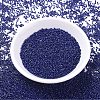 MIYUKI Delica Beads SEED-MY11-DB2143-2