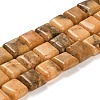 Natural Dolomite Beads Strands G-F765-C02-01-1