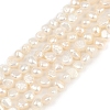 Natural Cultured Freshwater Pearl Beads Strands PEAR-P064-19D-08A-2