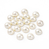 Shell Pearl Half Drilled Beads BSHE-G011-01-12mm-1