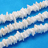 Natural Sea Shell Chips Beads Strands BSHE-Q024-02-1