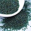 MIYUKI Round Rocailles Beads X-SEED-G007-RR0289-1