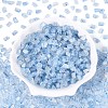 Transparent Spray Painted Glass Seed Beads SEED-L011-10A-17-2