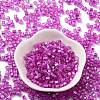 Glass Seed Beads SEED-M011-01A-18-2