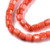Natural Freshwater Shell Beads Strands X-SHEL-N003-33-A06-3