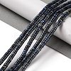 Natural Imperial Jasper Beads Strands G-Q171-A01-01E-2