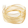 1M Mesh Ribbon PNT-TA0001-02C-2