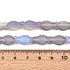 Frosted Glass Beads Strands GLAA-T023-40C-04-4