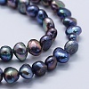 Natural Cultured Freshwater Pearl Beads Strands PEAR-K004-13A-01-3