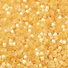 Glass Bugle Beads X1-SEED-B001-03A-03-3