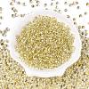 6/0 Baking Paint Transparent Fringe Glass Seed Beads SEED-N006-06B-2