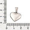 304 Stainless Steel Pendants STAS-P278-01L-P-1-3