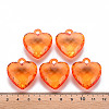 Transparent Acrylic Pendants TACR-T024-03B-921-4