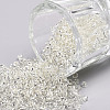12/0 Glass Seed Beads SEED-US0003-2mm-21-1