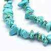 Synthetic Turquoise Beads Strands LS-G-P332-24B-2