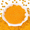 FGB Transparent Glass Seed Beads SEED-N013-01B-11-2