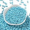 Glass Seed Beads SEED-L011-04A-11-2