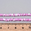 Natural Trochid Shell/Trochus Shell Beads Strands SSHEL-N040-21E-4