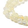 Natural White Shelll Beads Strands SSHEL-H072-03-3