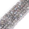 Natural Labradorite Beads Strands G-D0003-B10-1