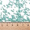 TOHO Round Seed Beads SEED-XTR11-0954F-4