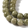 Natural Alashan Agate Beads Strands G-P530-B05-02-4