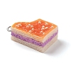 Resin Imitation Food Pendants FIND-U001-02D-2