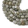 Natural Labradorite Beads Strands G-P623-A03-02-4