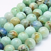 Natural Chrysocolla Beads Strands G-J373-02-12mm-1