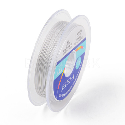 Tiger Tail Beading Wire TWIR-R007-0.3mm-02-1