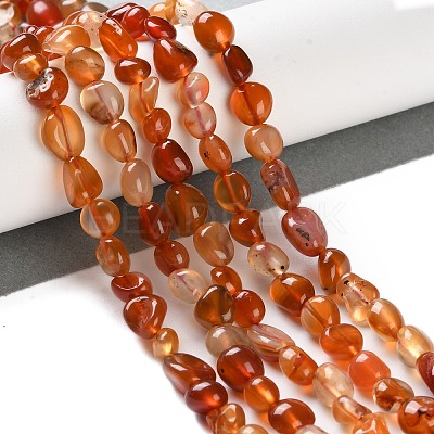 Natural Carnelian Beads Strands G-P497-01C-35-1