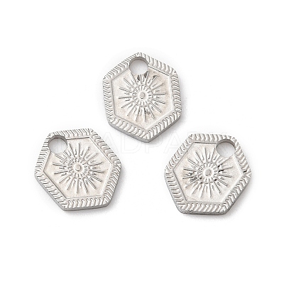 Non-Tarnish 316L Surgical Stainless Steel Charms STAS-H213-52P-1