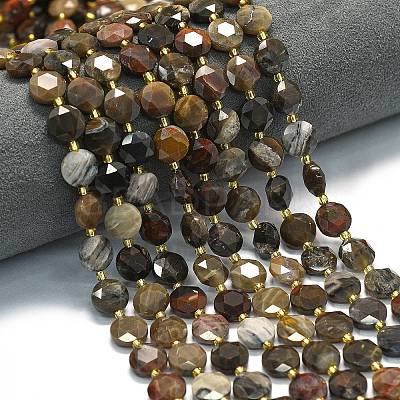 Natural Petrified Wood Beads Strands G-C116-A135-01-1
