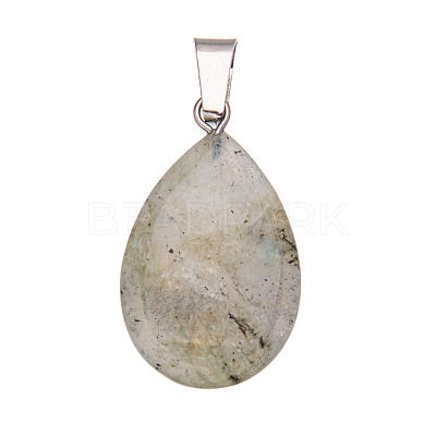 Natural Labradorite Pendants PW-WGF34F4-11-1