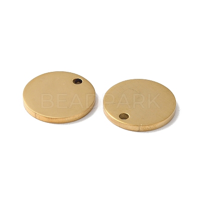 304 Stainless Steel Charms STAS-Q308-09H-G-1