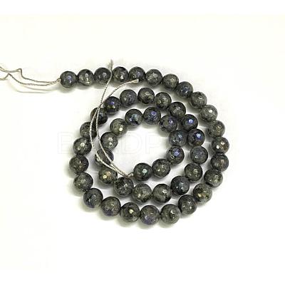 Electroplate Natural Labradorite Beads Strands X-G-L150-8mm-01-1
