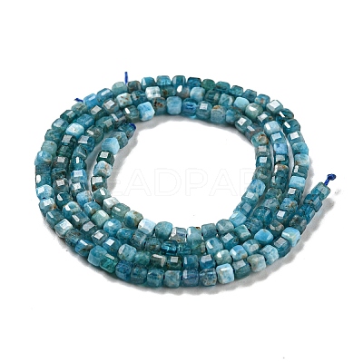 Natural Apatite Beads Strands G-P457-B01-14-1