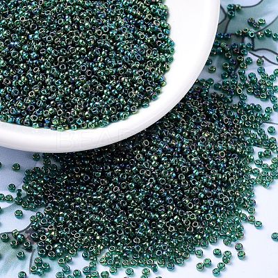 MIYUKI Round Rocailles Beads X-SEED-G007-RR0289-1