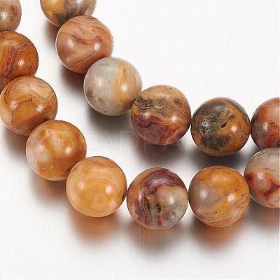 Natural Crazy Lace Agate Round Bead Strands G-M272-03-8mm-1