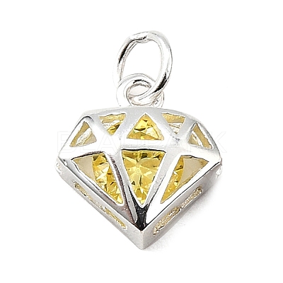 S925 Sterling Silver with Cubic Zirconia Charms STER-Q006-05A-S-1