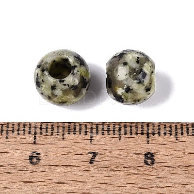 Natural African Turquoise(Jasper) European Beads G-Q607-02Q-1